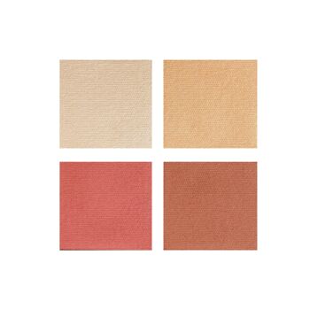 Labor -Gemüse 001 Rouge Blush Palette