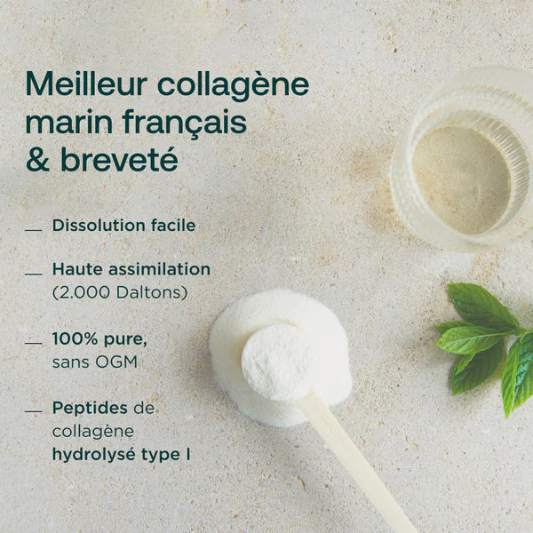 Collagen Marin Mango in bescheidenem Pulver+